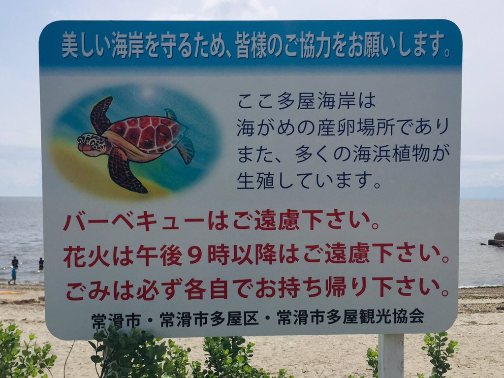 西 成美 On Twitter 今日は愛知県常滑市の多屋海岸で遊んできたよ ウミガメが産卵に訪れる自然海岸だけど かなり静かで穴場なんだよね お気に入りビーチの一つですが夏前にはビックリするくらい日焼けするつもり Www Https T Co Lfj00pmiwk Twitter