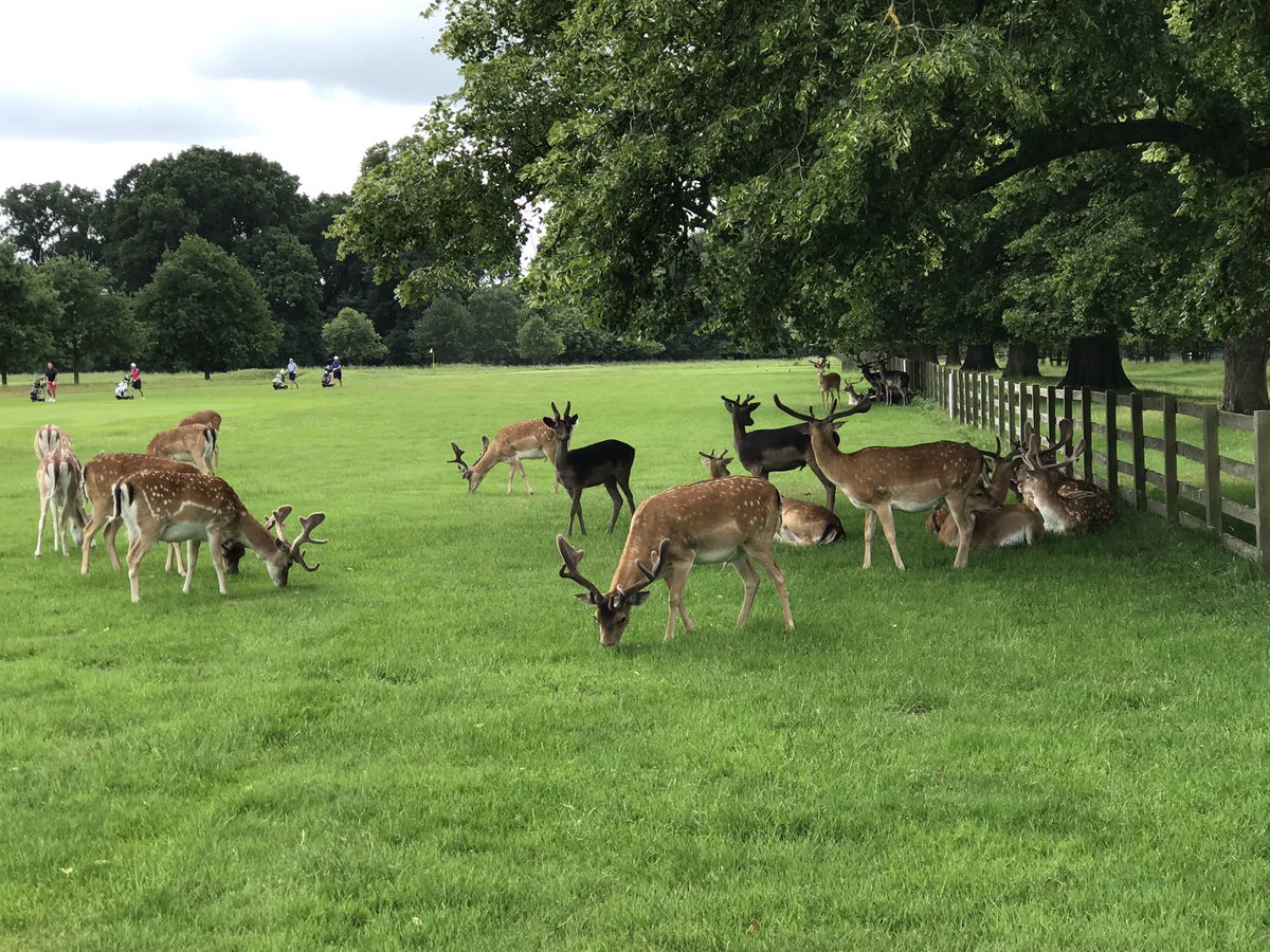 BracksBritain's tweet photo. Great to be back @Beltonhouse @NationalTrust https://t.co/ey6GS3XhsT