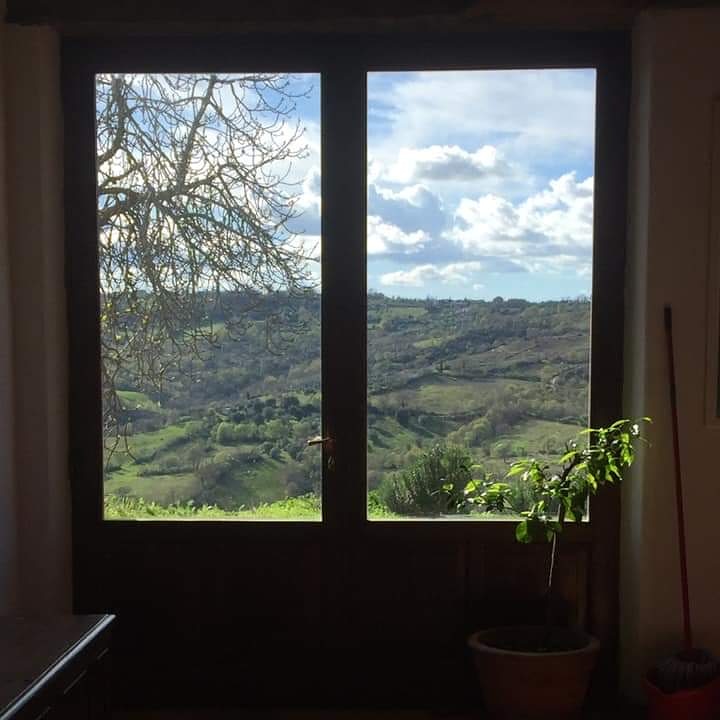 PoggioMonte's tweet photo. #roomswithviews at #poggiomontesaturnia #toscana at its best #wild #maremma #vacanzaitaliana https://t.co/TXHzAxrZj4