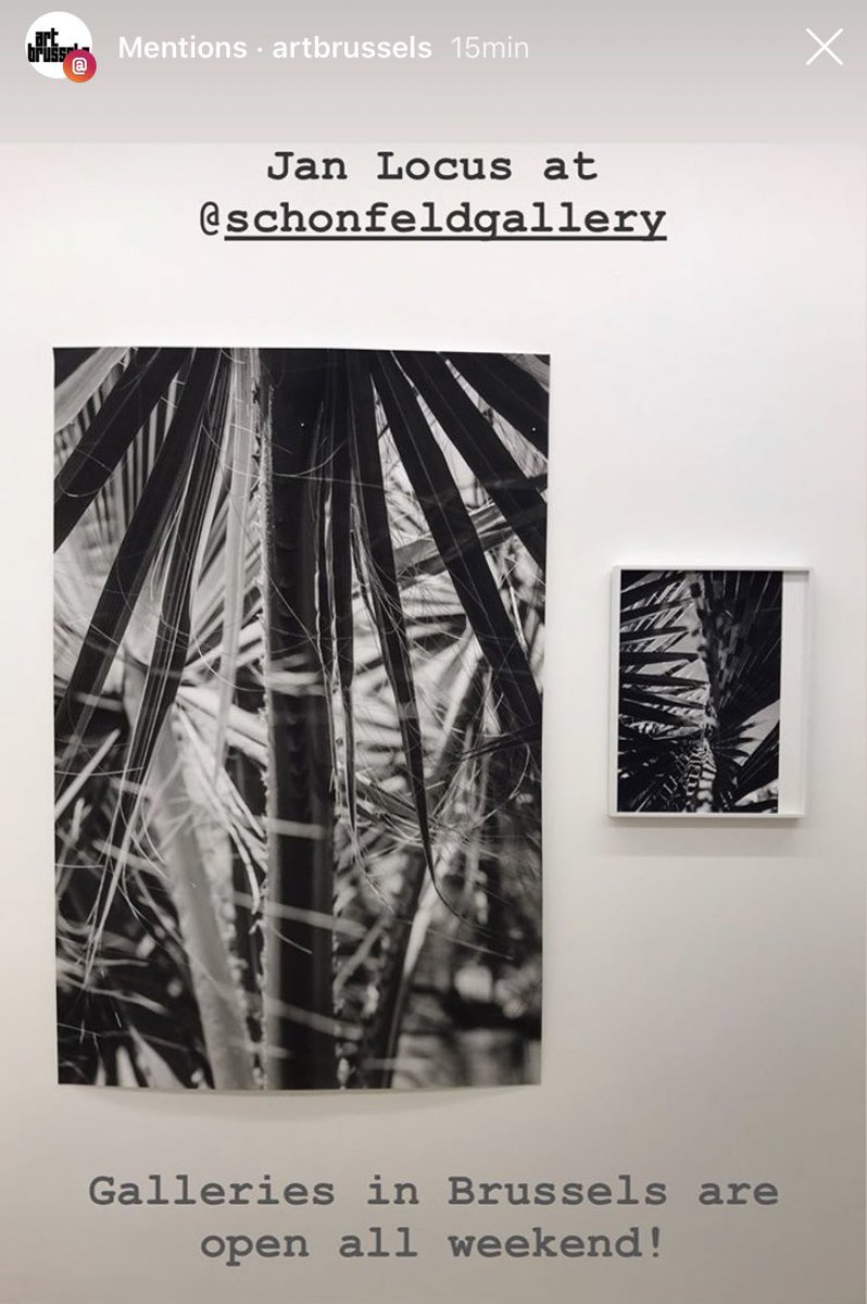 SchonfeldBrxl's tweet photo. Brussels Gallery weekend till 7PM@RivolliBrussels https://t.co/EXiWHE37EX