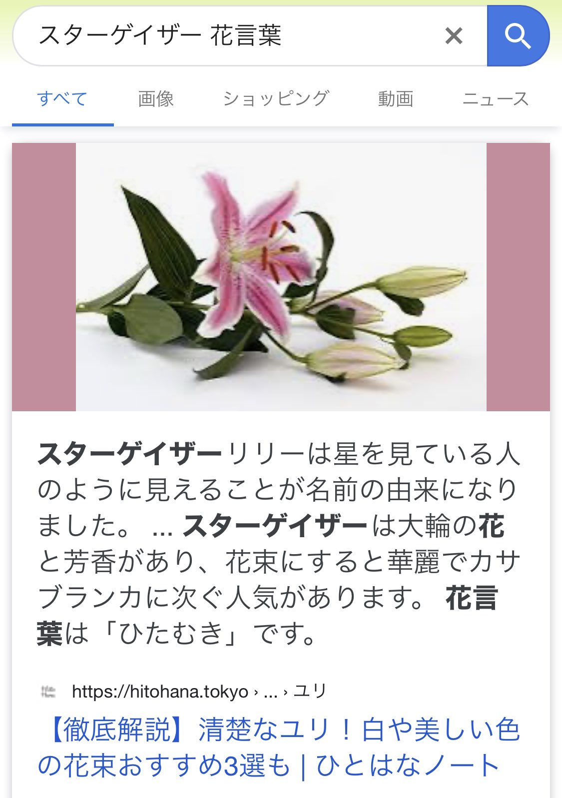 クラの友達 スターゲイザーは宇宙じゃなくて 花コンセプトかもしれない 2nd出るのと同タイミングで スターゲイザーっていうユリが咲くみたい 花言葉は ひたむき T Co Ahf8m2daey Twitter