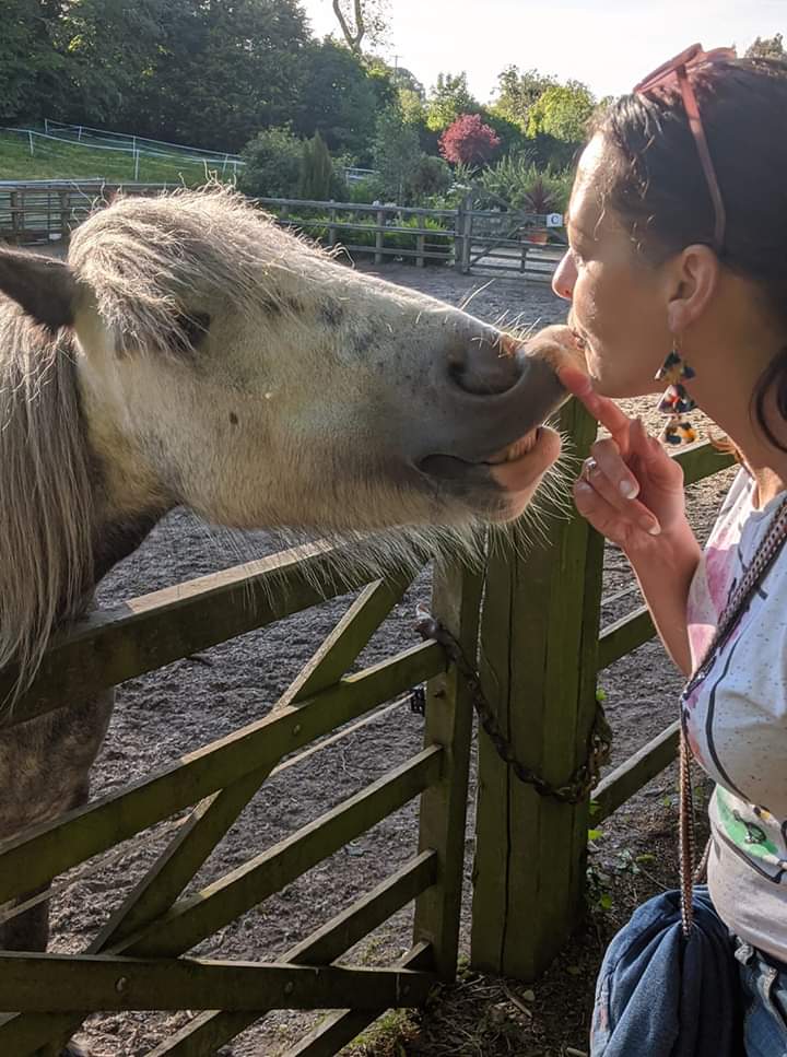 CatherineVescha's tweet photo. More lockdown walks exploring the local area on #northdown #clandeboyeway #nendrum #strandgfordlough #ballymacormickpoint #discoverni https://t.co/yJOeObFj4f
