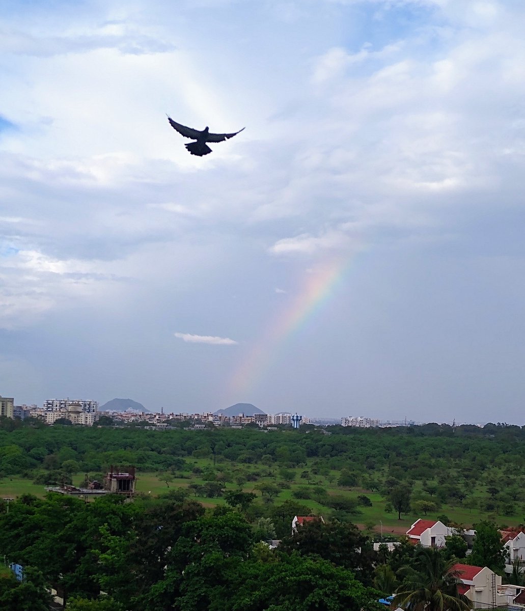 Sai_05's tweet photo. #mayancalendar was so wrong! Does this look like dooms day??
#spreadsomepositivity #behappy #behopeful #beautifulday https://t.co/5qtuQWisJu
