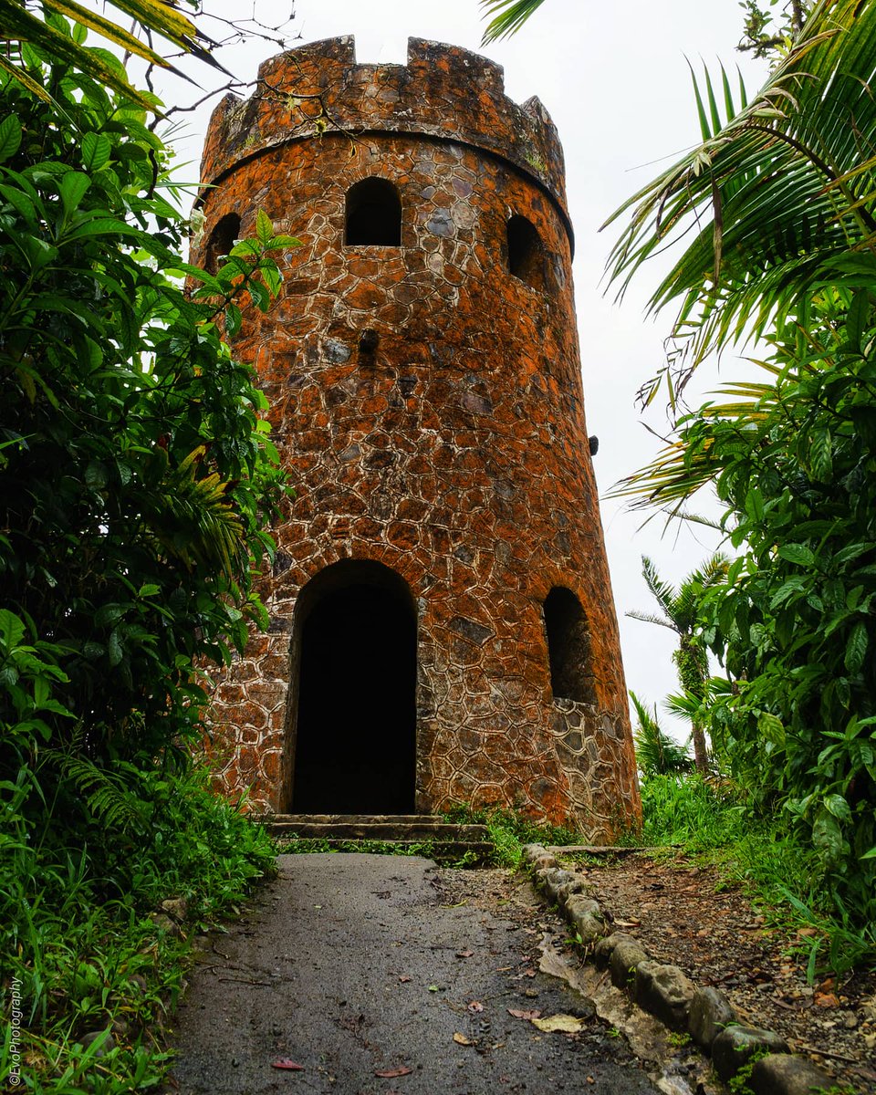 VicTorManuel29's tweet photo. #PuertoRico #ElYunque #photographer 
⛰️El Yunque Mt. Britton Lookout Toser
Instagram: https://t.co/UVle1pozd0 https://t.co/HK5KTsHscX