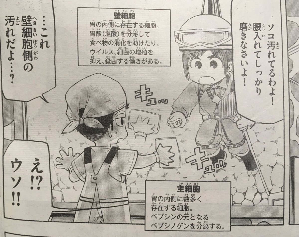 本日のはたらく細胞BABY2巻の見どころ!
本日は壁細胞と主細胞コンビ!あんまり出てきてないと思ってたけど2巻で意外と登場してました?
壁細胞は姉御肌の猪突猛進娘、主細胞は引っ込み思案だけどちゃっかりした一面もある感じのキャラ設定です☺️
#はたらく細胞BABY