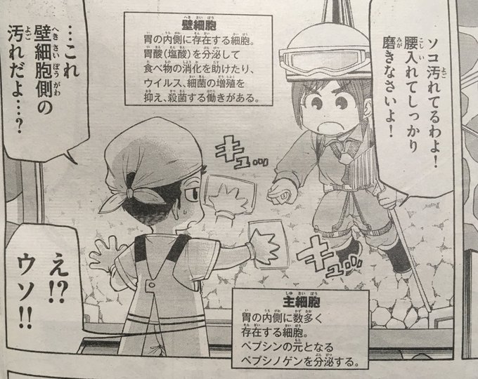 福田泰宏 はたらく細胞baby3巻2月22日発売 Yasuhiro Fkd さんの漫画 190作目 ツイコミ 仮 福田泰宏 はたらく細胞baby3巻2月22日発売 Yasuhiro Fkd さんの漫画 190作目 ツイコミ 仮