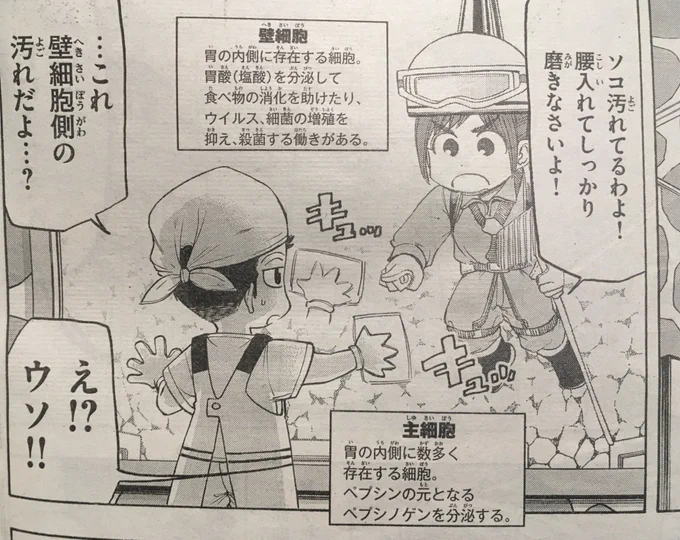 本日のはたらく細胞BABY2巻の見どころ!
本日は壁細胞と主細胞コンビ!あんまり出てきてないと思ってたけど2巻で意外と登場してました?
壁細胞は姉御肌の猪突猛進娘、主細胞は引っ込み思案だけどちゃっかりした一面もある感じのキャラ設定です☺️
#はたらく細胞BABY 
