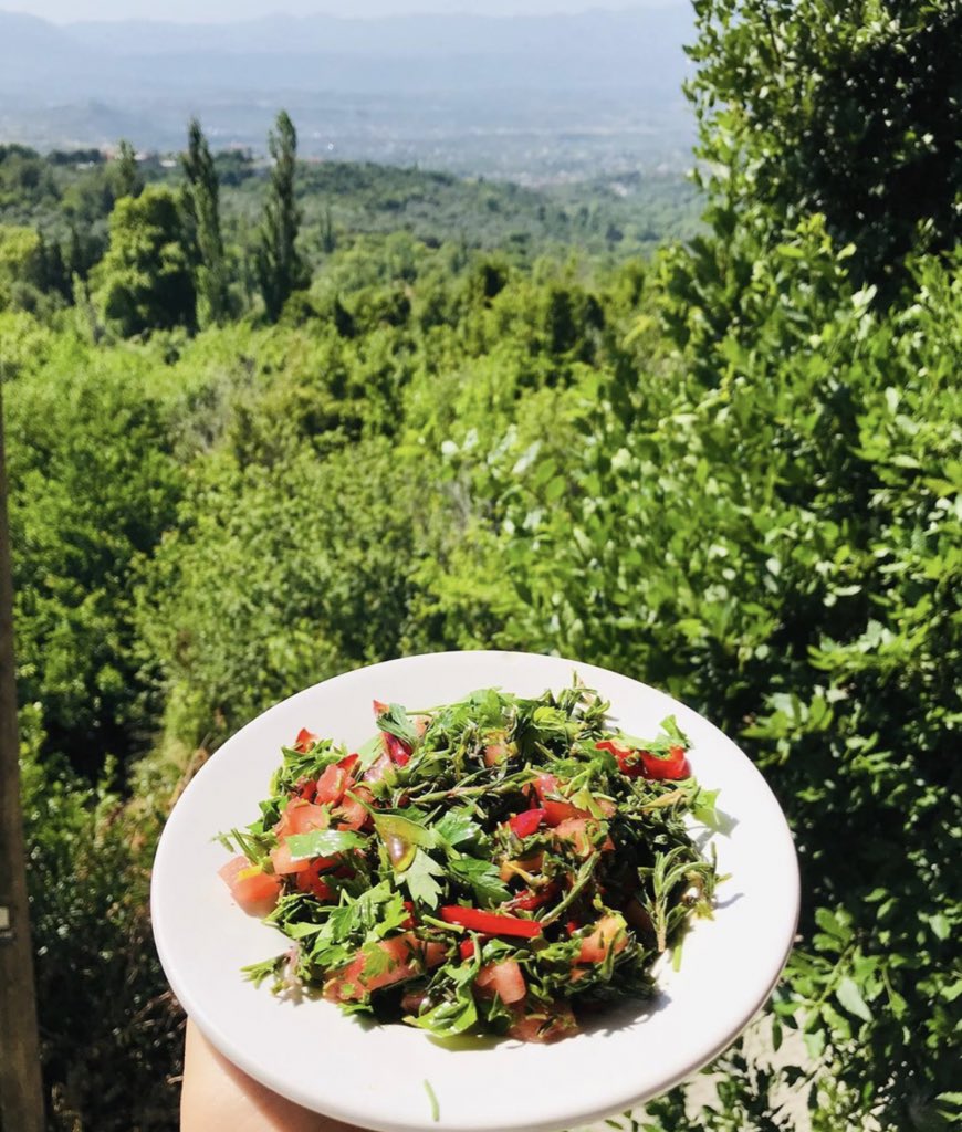 En doğalından kekik salatası 🍀
#hatay #kekik #salata #yöresellezzet #doğa #twitter