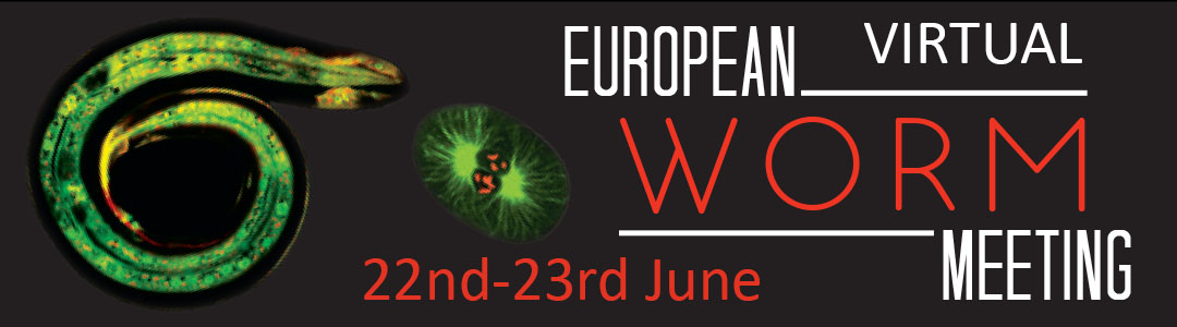 Pujol lab (@pujol_lab) on Twitter photo #EWM2020 starts tomorrow 6 sessions 5 invited speakers Ana Carvalho <a href="/i3S_UPorto/">i3S-Instituto de Investigação e Inovação em Saúde</a> Meital Oren-Suissa <a href="/MeitalOren/">Meital Oren-Suissa</a> Sophie Jarriault <a href="/IGBMC/">IGBMC</a> Barbara Conradt @UCL Eric Miska <a href="/GurdonInstitute/">Gurdon Institute</a>
registration & program: shorturl.at/fAFJV #EWM2020 starts tomorrow 6 sessions 5 invited speakers Ana Carvalho <a href="/i3S_UPorto/">i3S-Instituto de Investigação e Inovação em Saúde</a> Meital Oren-Suissa <a href="/MeitalOren/">Meital Oren-Suissa</a> Sophie Jarriault <a href="/IGBMC/">IGBMC</a> Barbara Conradt @UCL Eric Miska <a href="/GurdonInstitute/">Gurdon Institute</a>
registration & program: shorturl.at/fAFJV