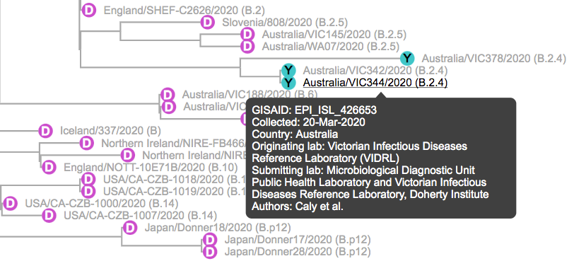 #covGLUE v0.1.11
- Download CSV of sequence analysis report
- PANGOLIN-assigned lineage + GISAID clade shown alongside CoV-GLUE-assigned lineage
- Better sort/filter options
- GISAID data updated to 14/6/2020

cov-glue.cvr.gla.ac.uk

#COVID19 <a href="/CVRbioinfo/">CVR Bioinformatics</a> <a href="/CovidGenomicsUK/">COVID-19 Genomics UK (COG-UK) Consortium</a>