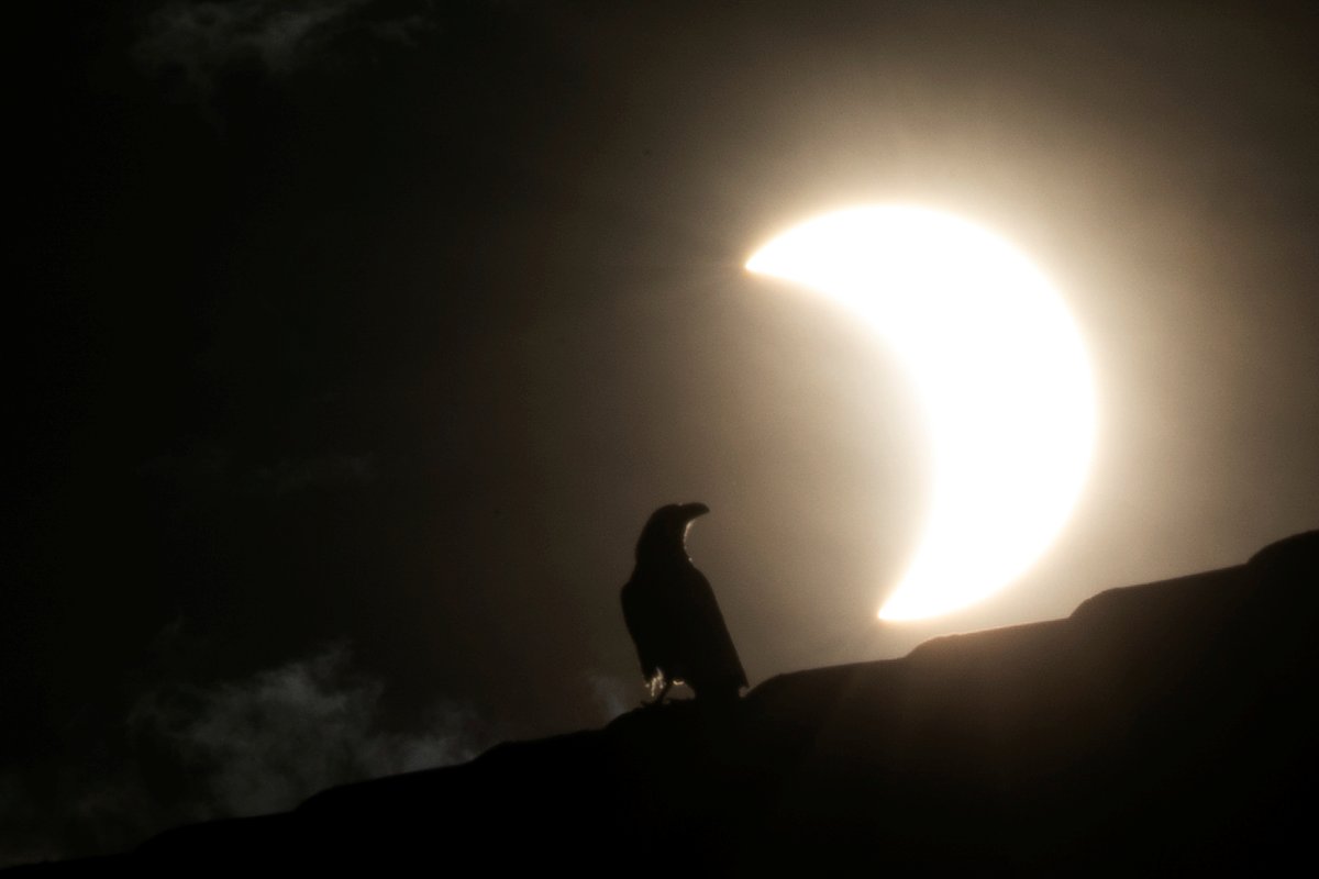 TelenoticiasGMV's tweet photo. Miles de personas en África, Oriente Medio y el sureste de Asia pudieron observar este domingo 21 de junio un peculiar eclipse solar conocido como “anular de Sol” o del “anillo de fuego”. https://t.co/mDYXfT9ArE