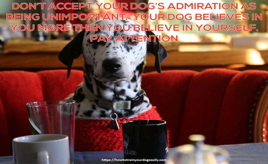 FNotpit's tweet photo. Donβt accept your dogβs admiration as being unimportant. Your dog believes in you more then you believe in yourself. Pay attention
https://t.co/DS4MsOq41M
#dogbarking #pottytrainingpuppy #dogobediencetraining #howtotrainapuppy
#howtopottytrainadog #howtotrainadog #dogtricks https://t.co/qCKRgJW8jy
