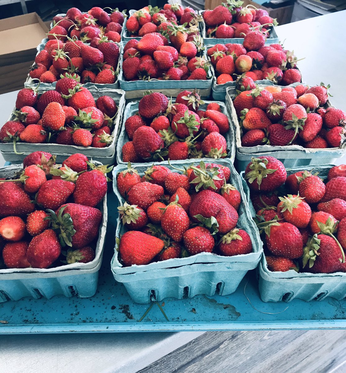 Badding Bros Farm tweet media
