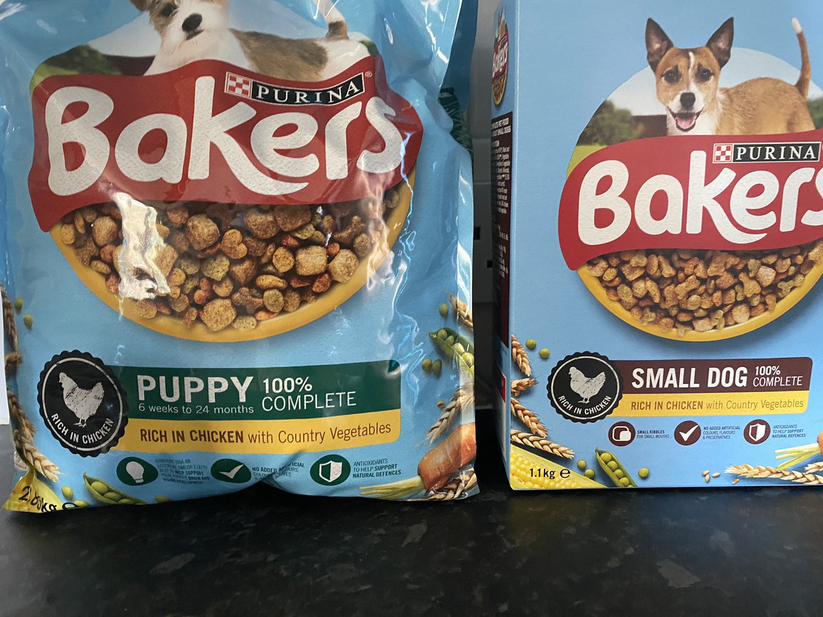 chopmunky's tweet image. Puppy prepping #ProjectB 👀