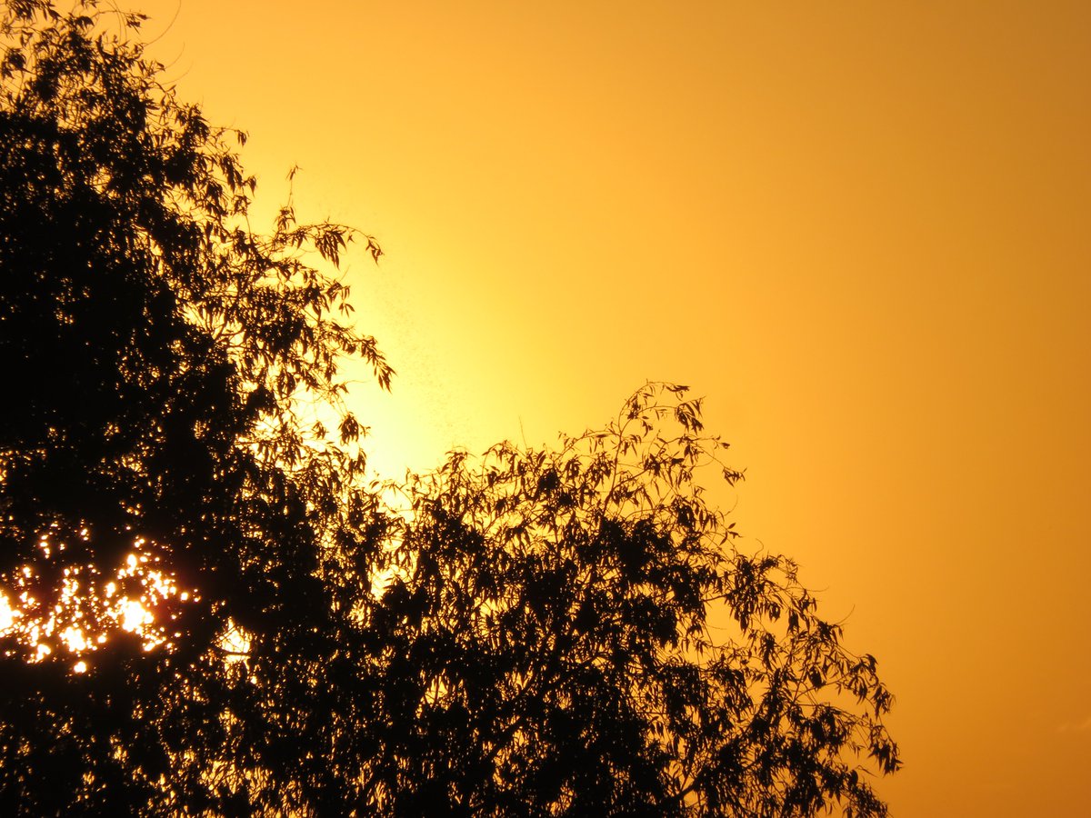 PLKlein_Author's tweet photo. "Life is trying things out to see if they work." ~ #RayBradbury #ThinkBIGSundayWithMarsha #ThinkingOutLoud #QuickQuotes #SundayMotivation #SundayThoughts #Life #TryingThingsOut https://t.co/1lsGoUJfxq