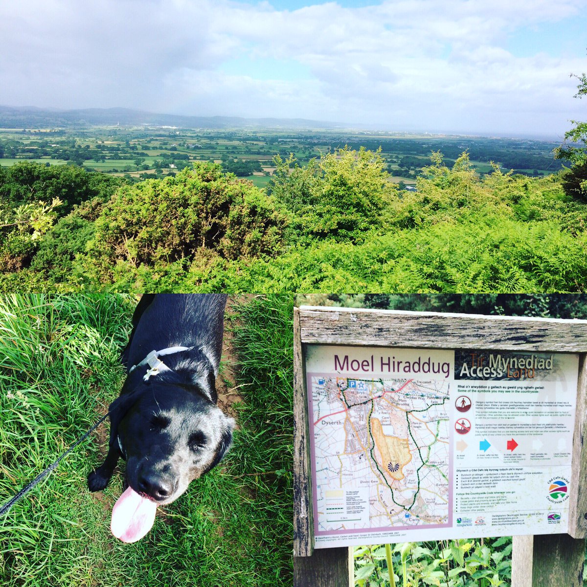 TalesTilly's tweet photo. Sunday stroll 🚶‍♀️ @YsgolEmmanuel https://t.co/axc6aHAXKL