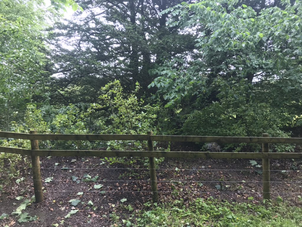 A couple of before & after shots after we cleared some greenery alongside the trail! 5 full tonne bags later, we hope you will agree it is looking far more well-kempt! #YorkshireDales #Gardening #GardenersWorld #GardenersHour