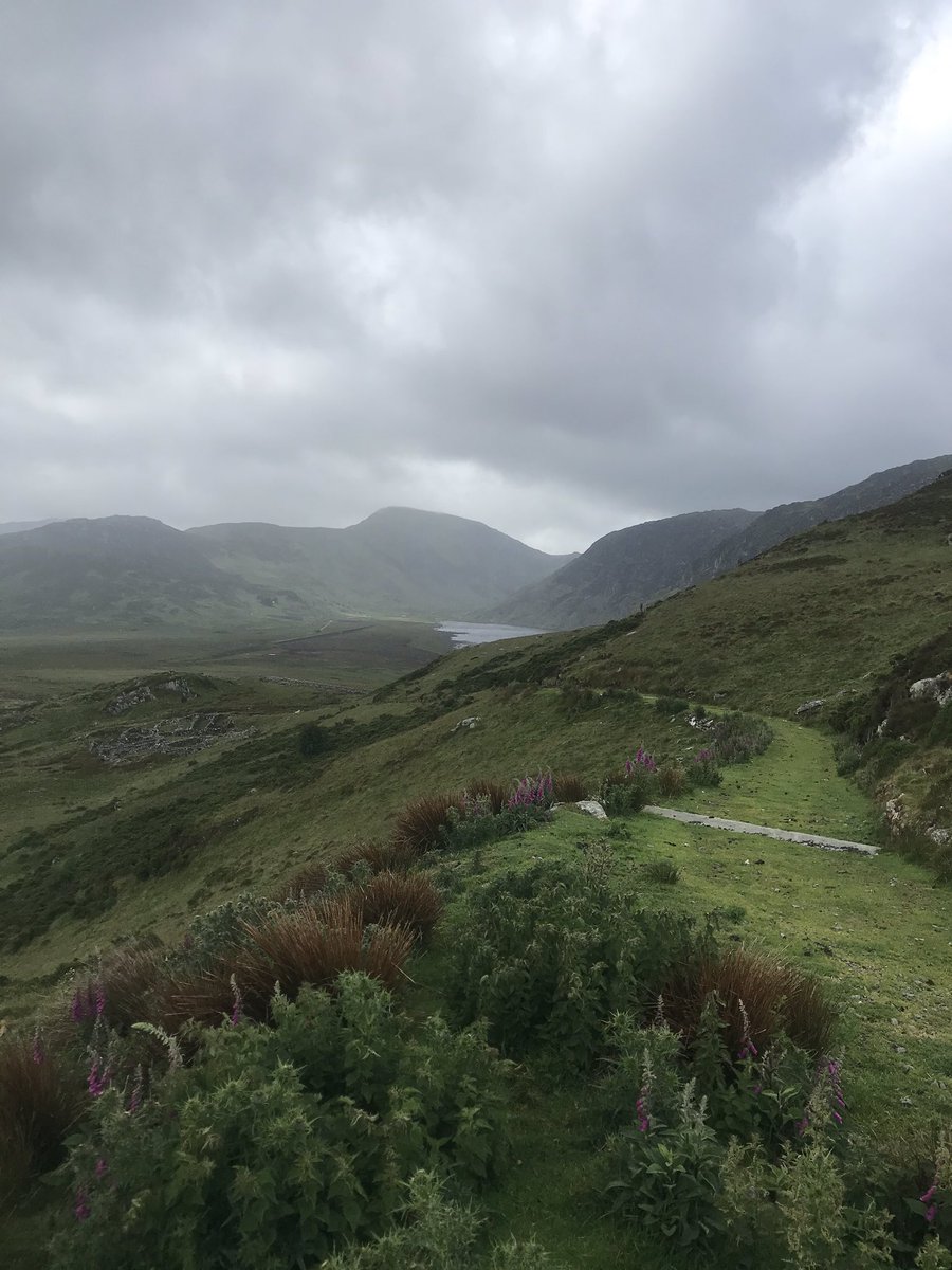 HuwClwyd's tweet photo. Little trek around the #caerneddau today with my 10yr old daughter visited 3 lakes #eigiau #dulun #melynllyn 2nd highest mountain in wales #garneddllywelyn spotted 27 of @1GarethWynJones ponies. Maz got close to 1 stallion! #FathersDay https://t.co/cA3ugBdNfY