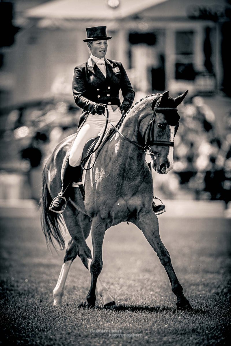 caughtlight's tweet photo. #WeekendTheme #LookBack #HorseEventing #Horse #Dressage #Sport #Photography #ProPhotography #SportsPhotography #SportsPhotographer #PhotoJournalist https://t.co/AUTVzjlgdY