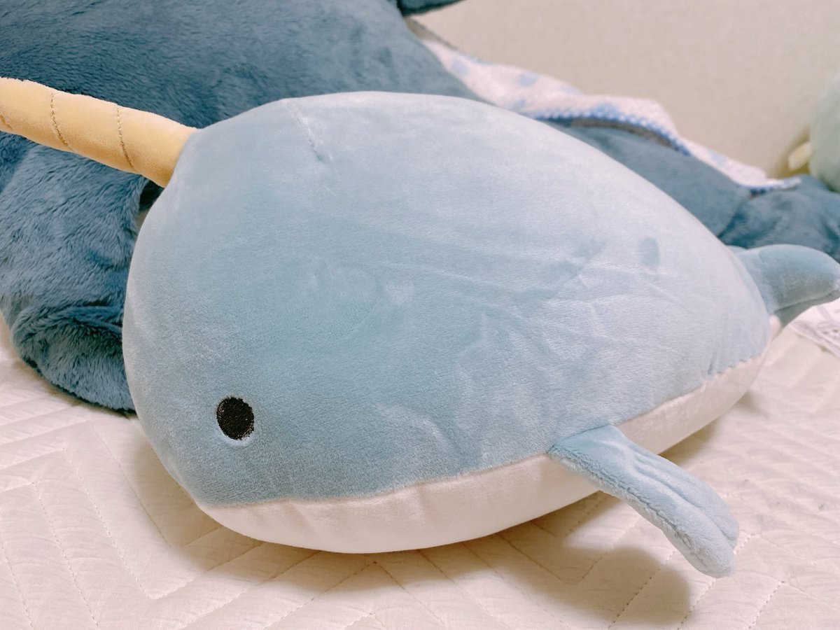 はるーた おうちぬいぐるみ水族館にイッカクが仲間入りした