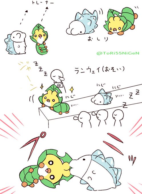 ポケモン - ひよこ 自慢しいなポッチャマと自信がない中学生 | 小作農ひよこ さんの