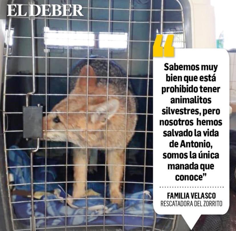 Arturo Murillo tweet media