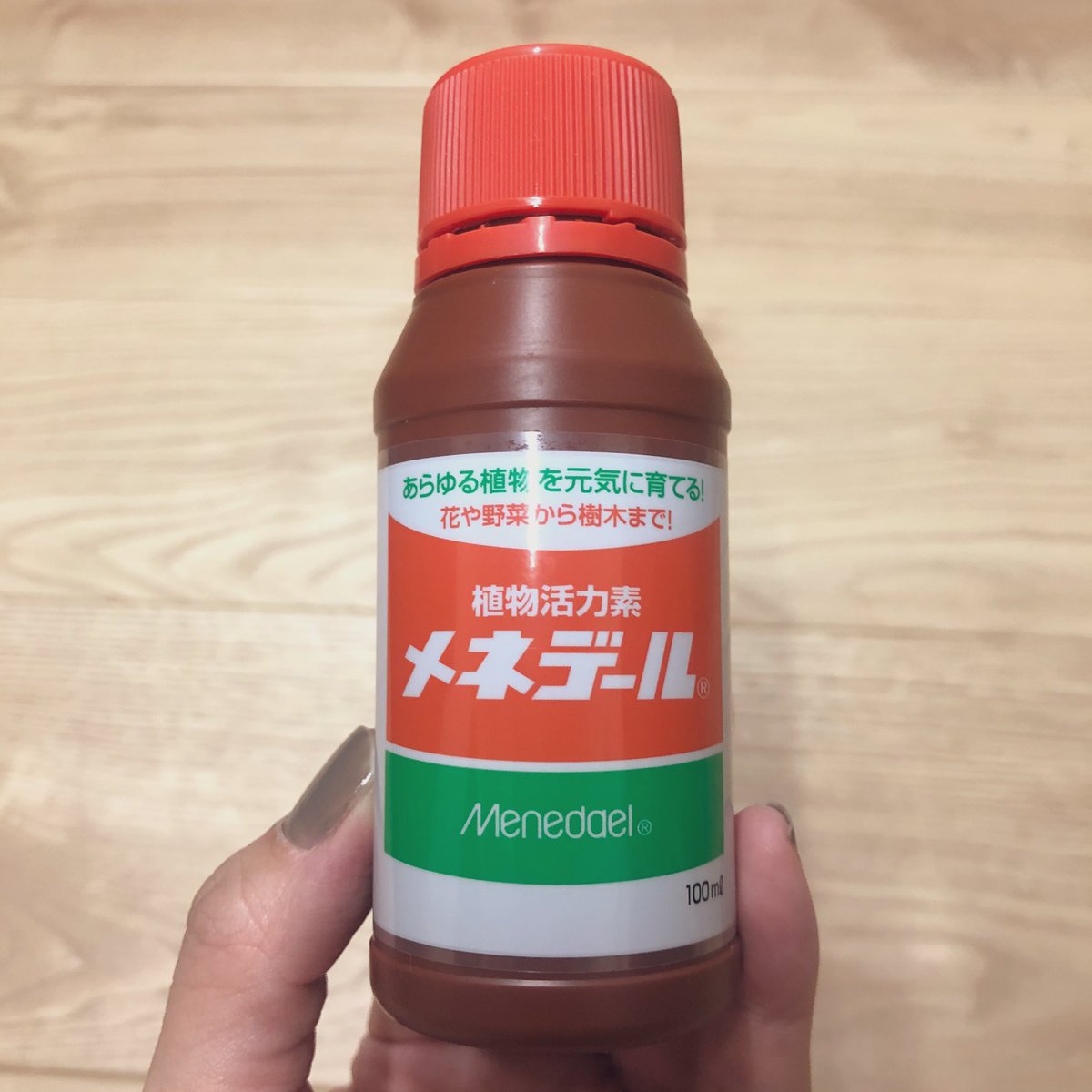 Pf わけてもらった斑入りのポトスです 早速水挿しをしてみました 今回は水にメネデールを使ってみました 効果はどうでしょうか 根が出て増えたら 土に植え替えし 高いところから垂らして栽培してみようと思います 水挿しポトス ポトス 斑入り