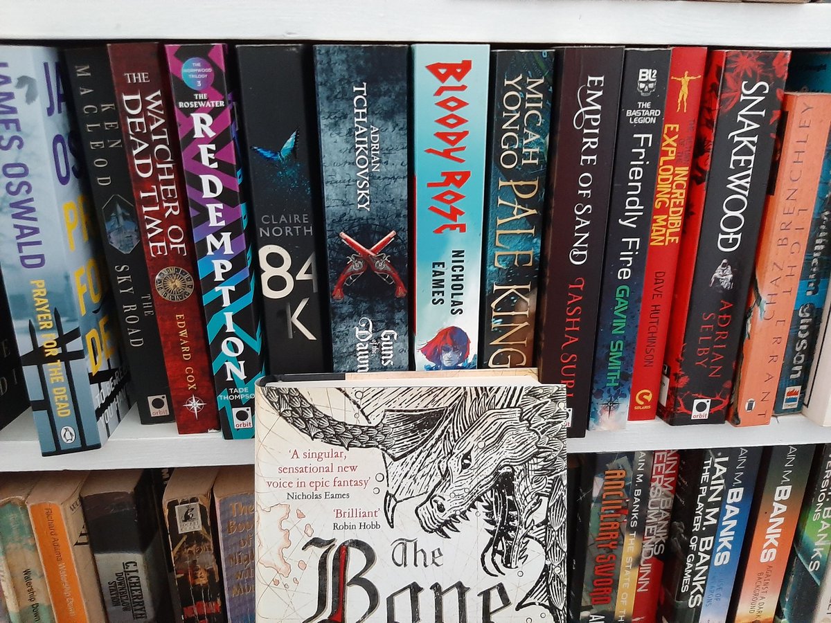 This hardback of THE BONE SHIPS, is taking up space I could use for more books by my BRILLIANT FRIENDS. RT and follow and it could be using up your space!