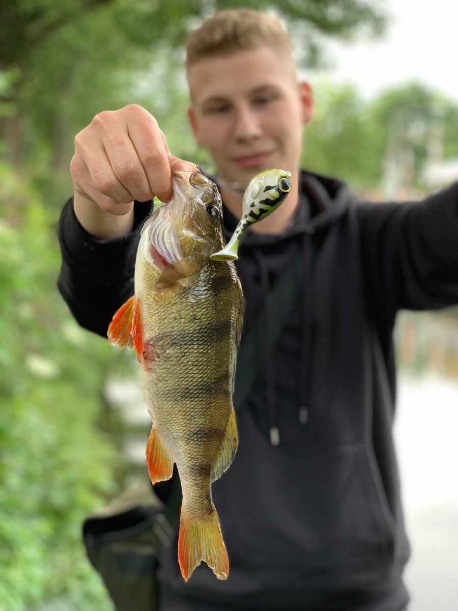 NEU auf Tideritter de: tideritter.de/illex-deraball… - die Deraball Montage nach Illex selbst und Profi Tip von Marcel Martins vom Mega Angelcenter Martins aus Rahlstedt 👏🏻🤟🏻