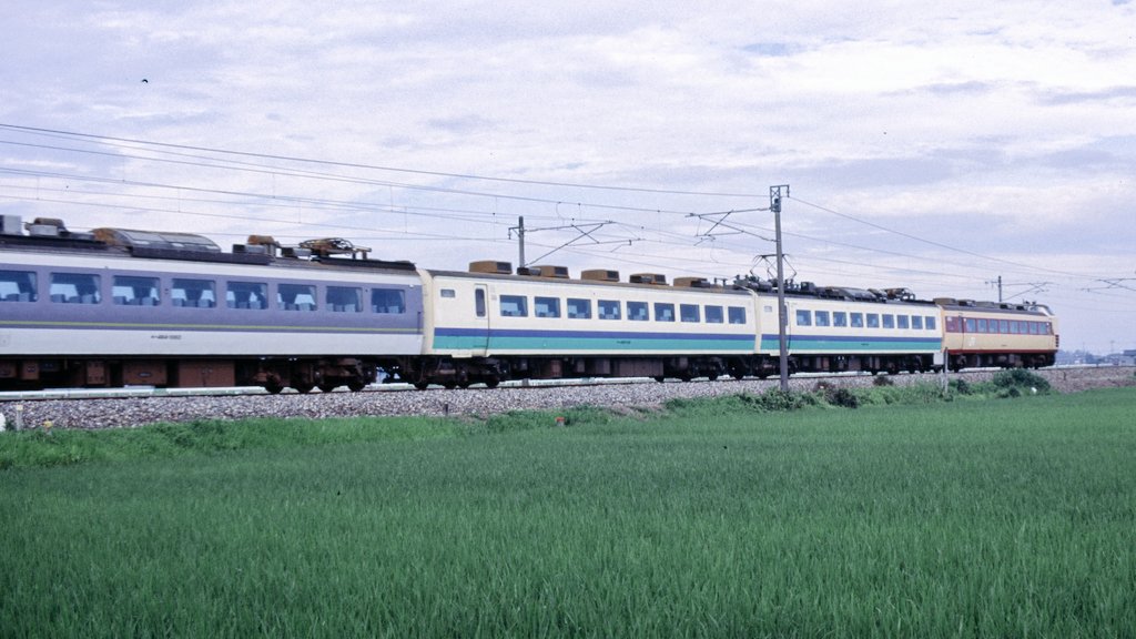 特急北越 #485系 #混色 #3色 #ひたち色 #特急色 #上沼垂色 最強の6両3