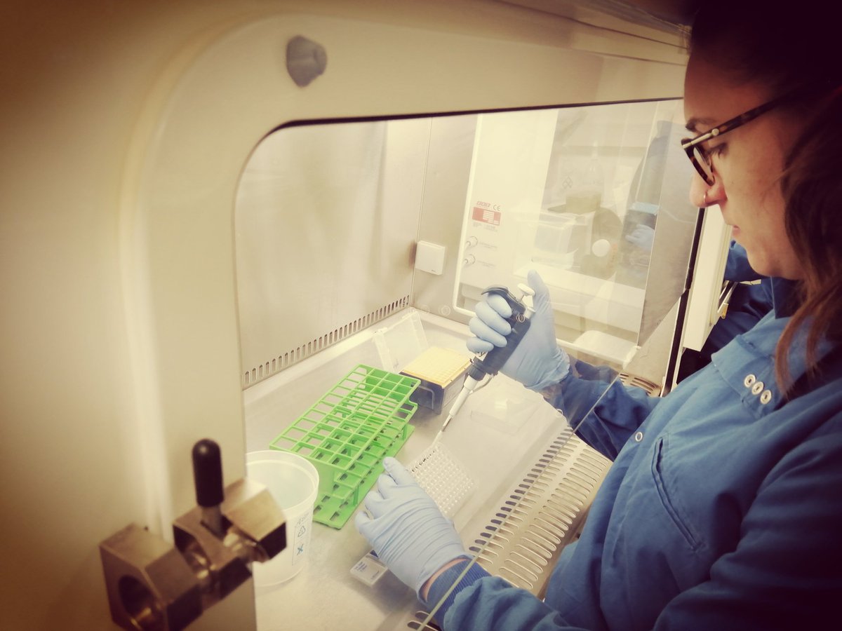 Jackson-Jones Lab (@jacksonjoneslab) on Twitter photo Today the JJ-lab waves Goodbye to #Technician Nadin <a href="/bleu__moonn/">Nadin Holbrook</a> who is moving on to an exciting new career in the #NHS. Thanks for all your hard work during the most challenging time the lab has known! Today the JJ-lab waves Goodbye to #Technician Nadin <a href="/bleu__moonn/">Nadin Holbrook</a> who is moving on to an exciting new career in the #NHS. Thanks for all your hard work during the most challenging time the lab has known!