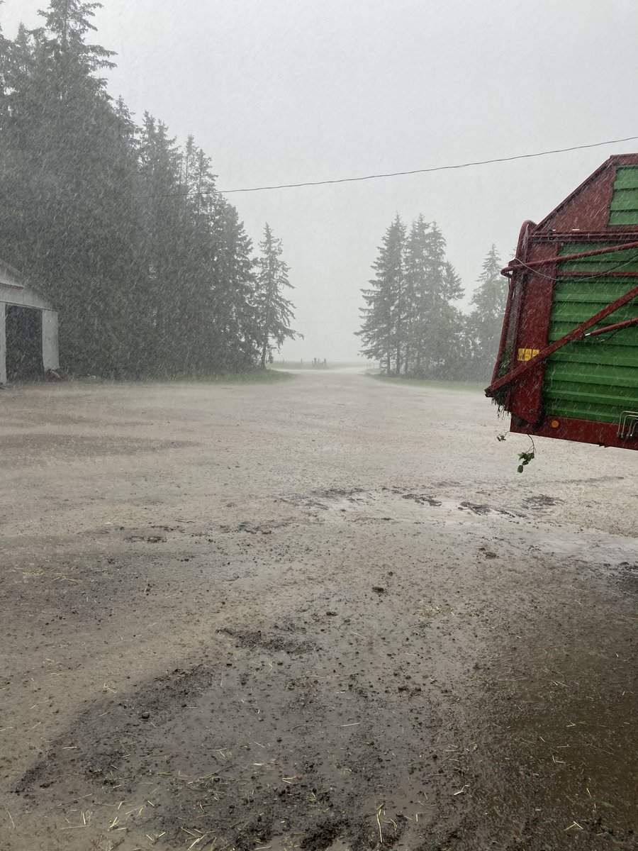 Guess we stop cutting silage for a bit