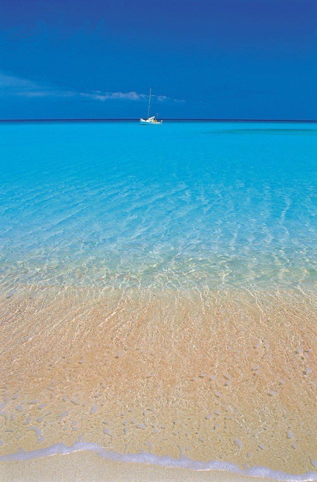 "Non invidio a Dio il paradiso, perché sono ben soddisfatto di vivere qui in Sicilia".

Federico II di Svevia👑

T r a p a n i