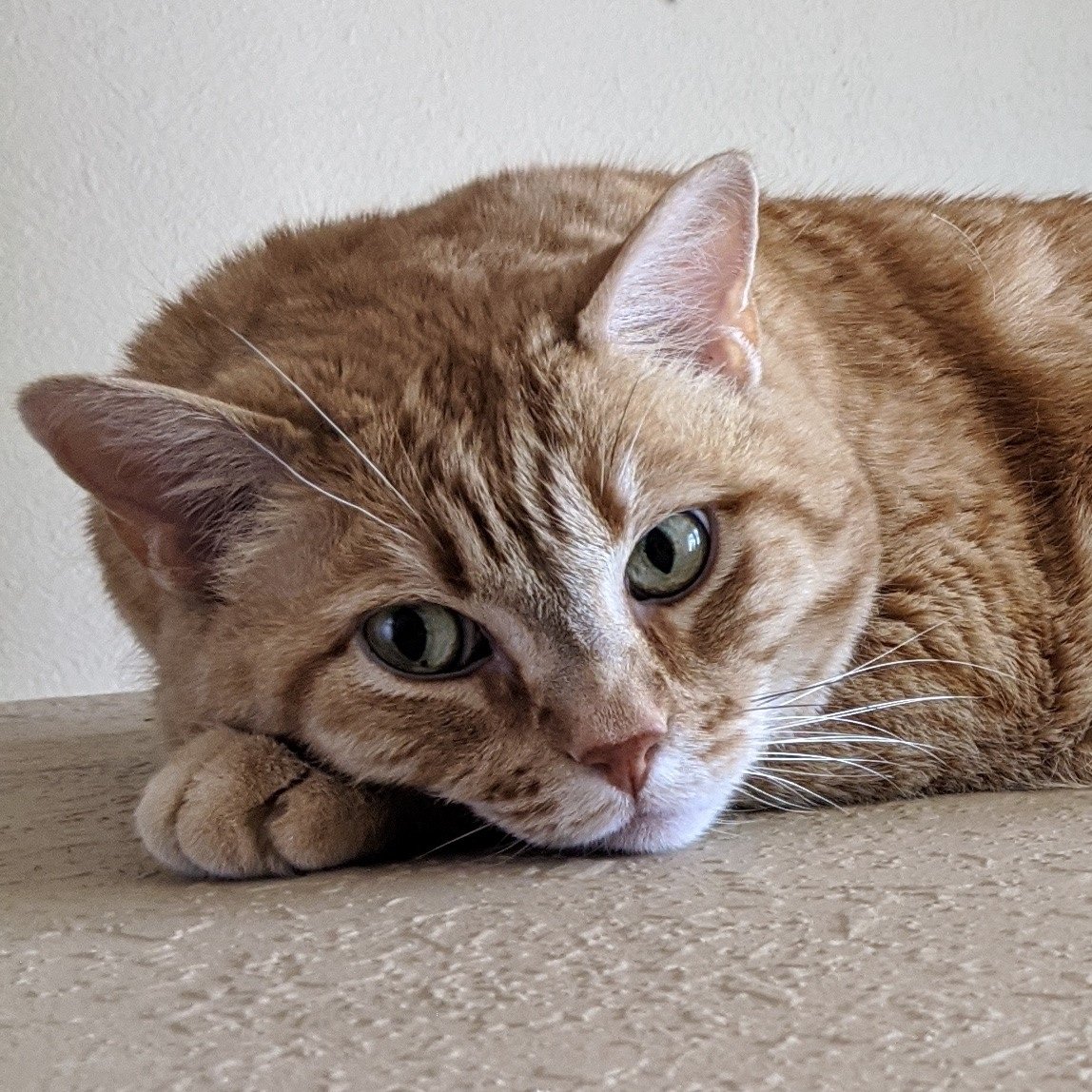 jesusC🌝W tweet media