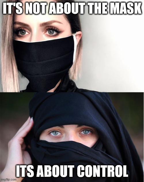 KidKool4U's tweet photo. #Masks or #ShariaLaw ?? #Plamdemic BS !! https://t.co/2XoRXaMcTb