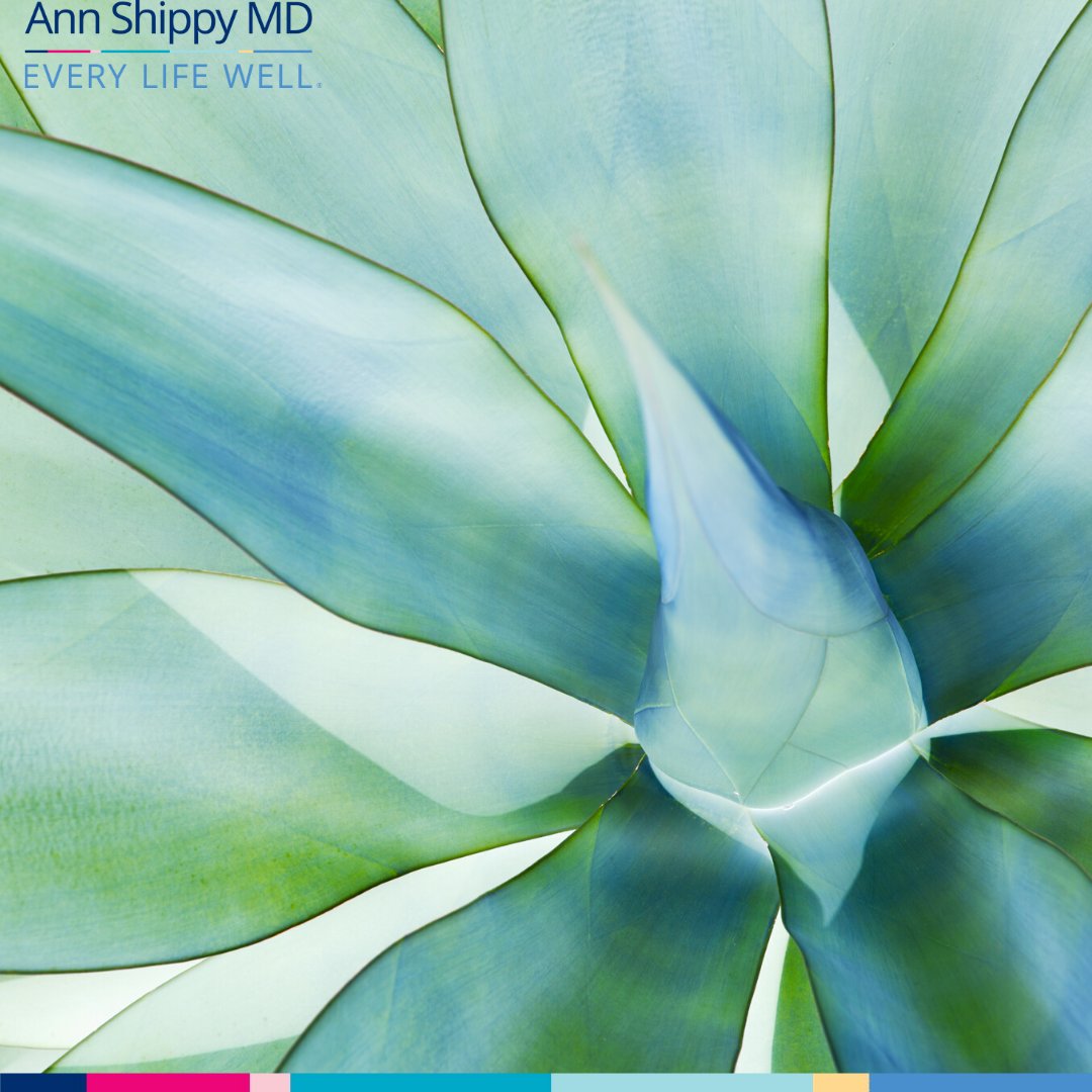 Ann Shippy, MD tweet media