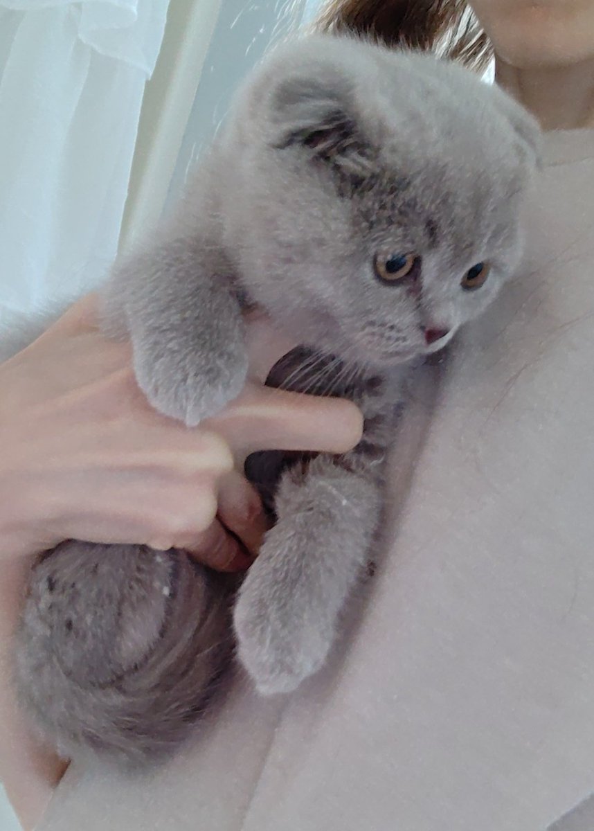 Oh_Lydiaa's tweet photo. Meet Zephyr Odyssey 💙💙 https://t.co/RcexYJSSTJ