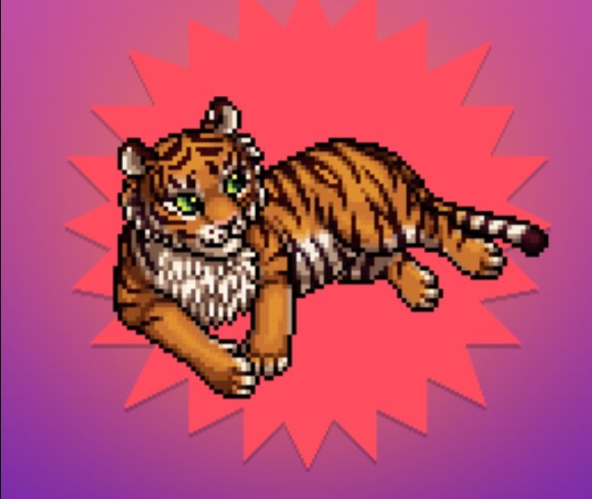 XNitrogeno's tweet photo. ✨SORTEO PORQUE SI✨

- 2 Tigres de bengala (2 ganadores)🐯🐯

Requisitos:

1. Seguirme 👍
2. RT 🙌🏻
3. Comentar y etiquetar un amigo (Este gana 5c)💸💸

Fin del sorteo día miércoles 24 de junio. https://t.co/6EKgjGnxpB