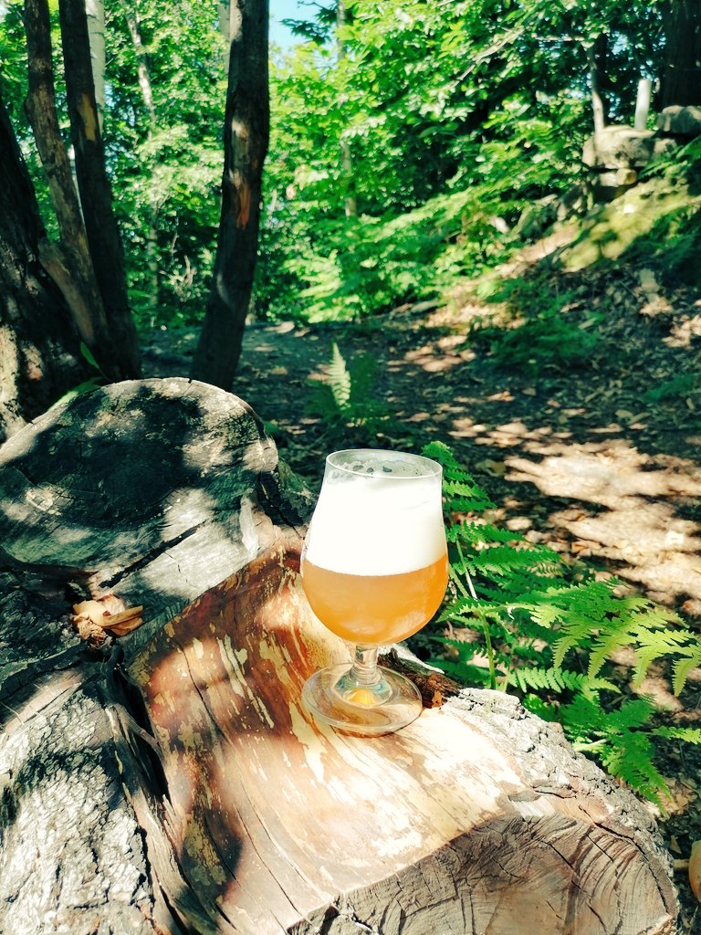 danienrici's tweet photo. Quale posto migliore per una birra #beer #birra #homebrew #homebrewing https://t.co/jwAF2xb2EE