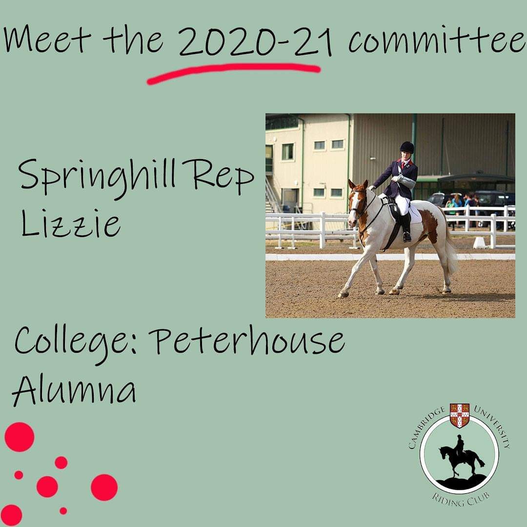Lizzie takes over as the rep for Springhill stables, where our beginner and novice riders have lessons.