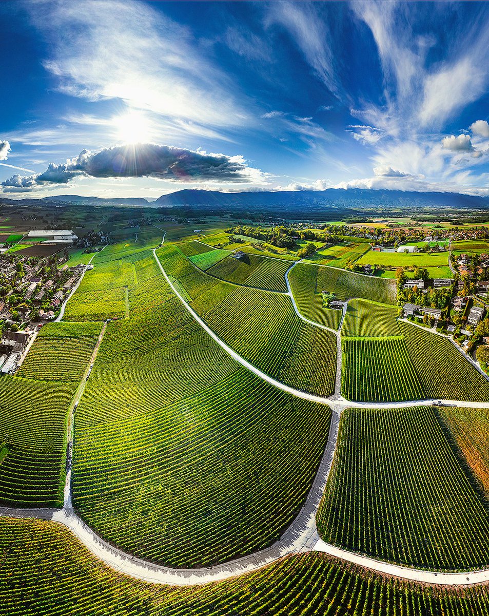 vinum_magazin's tweet photo. Ihr G#amay aus #Peissy, Ihr #Chardonnay aus #Laconnex und Ihr #Gamaret aus #Dardagny sind nicht nur Rebensäfte, sondern echte Lebenssäfte aus den Adern von Frauen und Männern, die das Genfer Weinbaugebiet seit Urzeiten hegen und pflegen.
👉 https://t.co/iBsgpMna4g 👈 https://t.co/S87BMlZof4