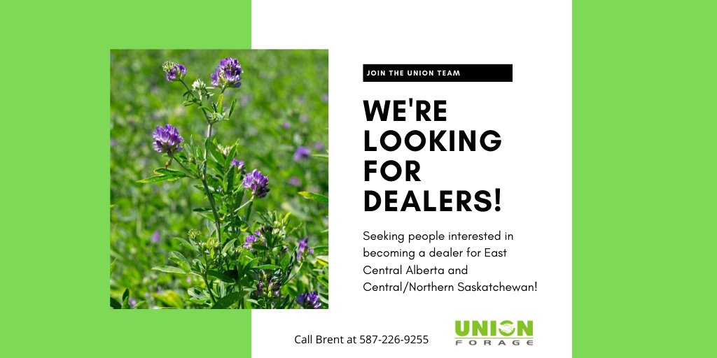 UnionForage's tweet photo. We are looking to expand!  If you are interested call Brent Difley at 587-226-9255! #cdnag #abag #ranchlife #crop2020 #ranching https://t.co/qDhb9hVcHY