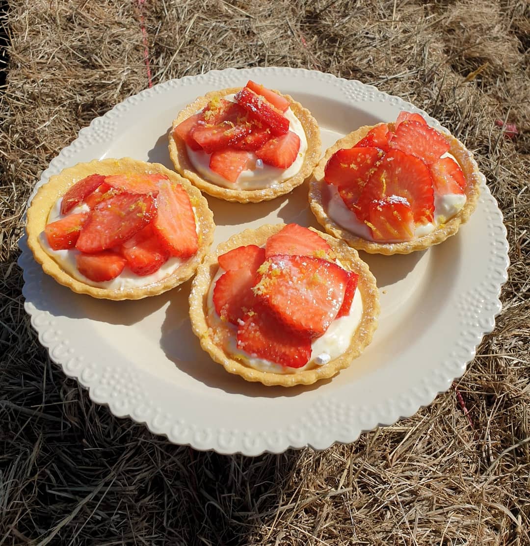 LlanfairPlas's tweet photo. When you #growyourown #strawberries you can also do this #mefus #strawberry #anglesey #plasllanfair #angleseycoastalpath #cake #gateau #tart #tarte #angleseyhour #cacen #pastel #fresa #fraise #angleseyhour #ynysmon #ynysmôn #garden #summer #fruit #summerfruits #angleseylife https://t.co/CeSrZgASTf