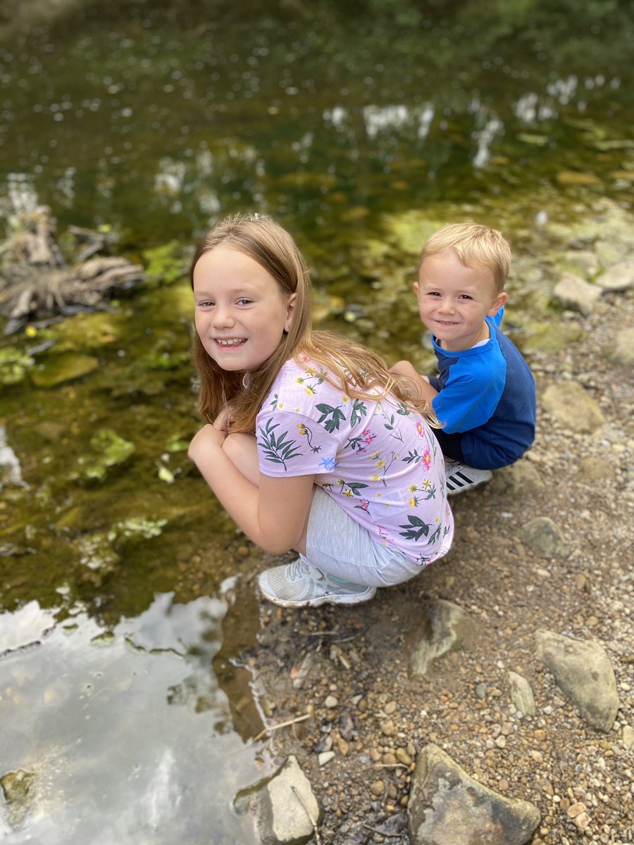 lrlouiser's tweet photo. The kids are impressed by how much the tadpoles have grown 🐸 @AbbeyfieldsFor1 @AbbeyfieldsFS https://t.co/yhPTrujtqL