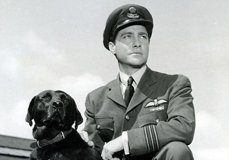 The Dam Busters is an epic British war film telling the story of the '43 raid by the RAF 617 squadron. The lead pilot’s dog was called n****r and, for this shallow reason, the film is now rarely broadcast unedited. Great performances by Richard Todd & Michael Redgrave will vanish
