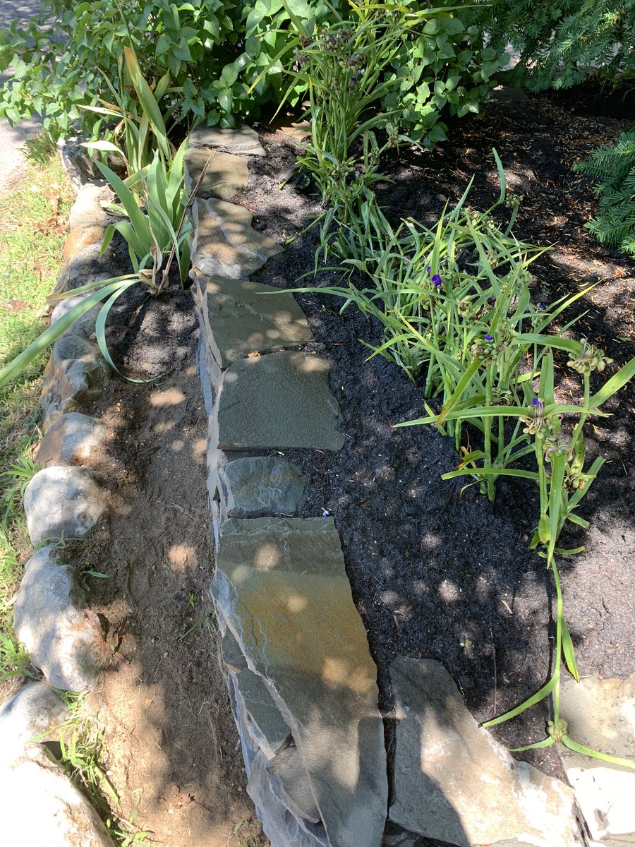 pK_solo1's tweet photo. Ok got some stuff in the ground. The geraniums should push up in front of and around these. Curious to see if they pop this year. Anyway enjoy the day and thanks for the love ๐๐๐ #garden #garden2020 #drystack #operationtransplant https://t.co/TQ3zItUnVR