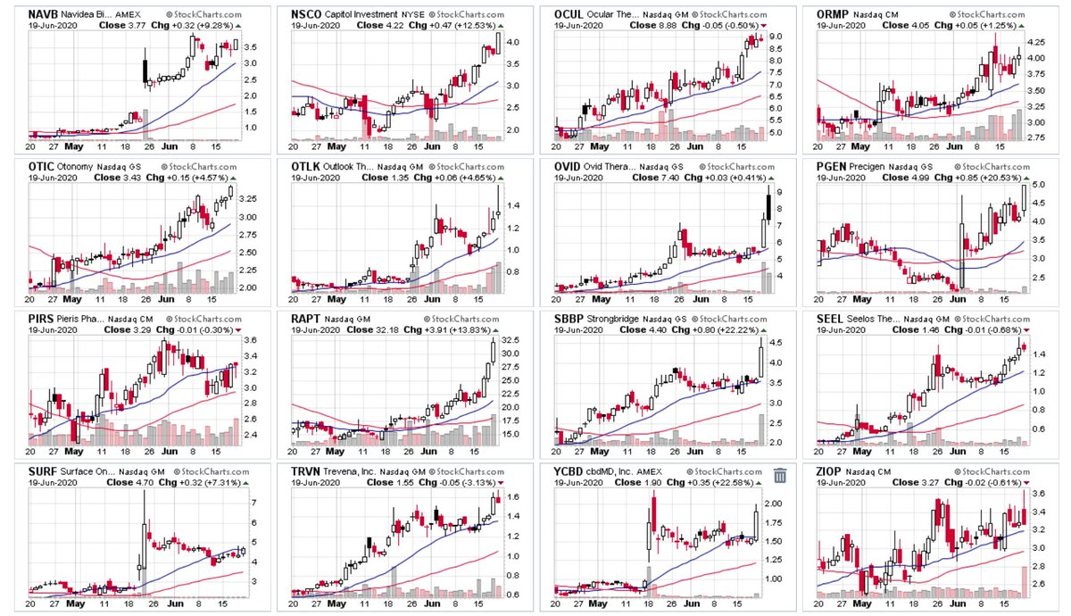 NYCTTrader's tweet photo. almost forgot this group. $NAVB $RAPT $SBBP $SEEL $ZIOP $TRVN $PGEN $YCBD ++ some data/PDUFA, some on pullback, etc... https://t.co/o6Q2UOEcC1