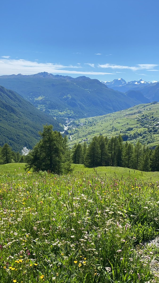 Barbara_Meoni's tweet photo. Relax natura https://t.co/JR3fLtxUpd