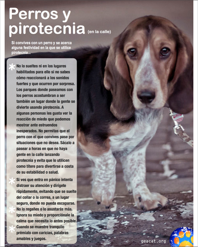 geacat's tweet photo. En muchos lugares se celebra con pirotecnia. Si eres de las personas que aún no sabe el daño que ésta causa a otros seres que conviven con nosotros deberías leer esto...

#noalapirotecnia https://t.co/ERa1jQdAh4