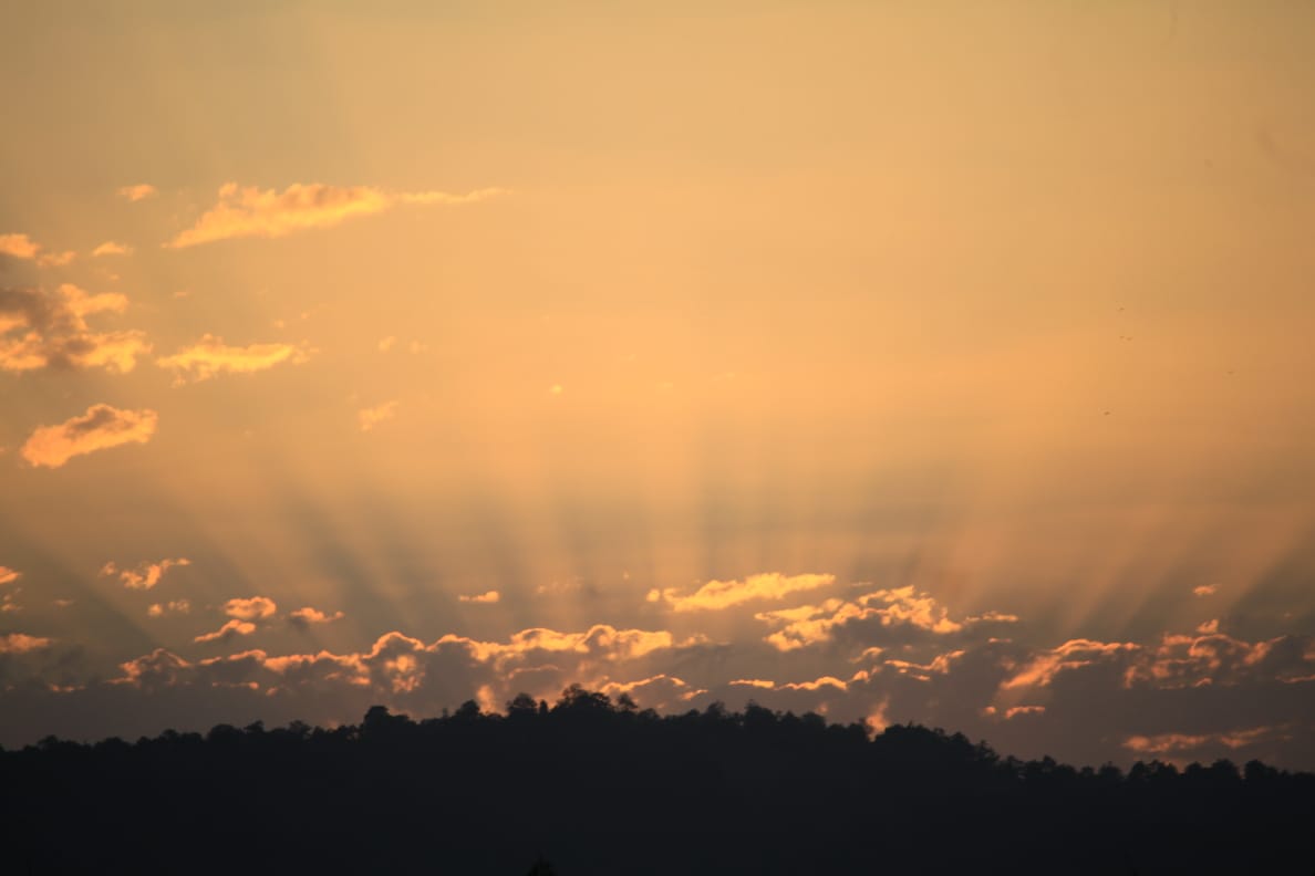 JuglanVinisha's tweet photo. #sunset #sunday #landscape #landscapephotography #secnery #RajajiNationalPark #rajajilandscape #RajajiWildTrail https://t.co/DH5iJ7LuQn